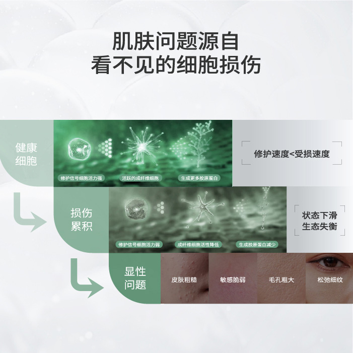 肌肤问题源自看不见的细胞损伤