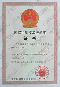 科学技术进步二等奖